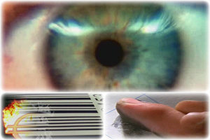 BigBrother-1